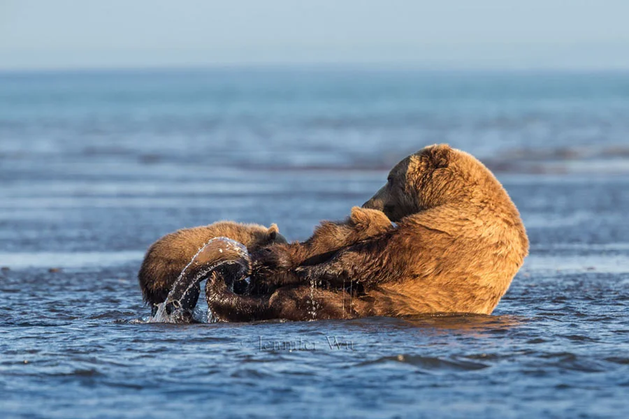 20130723_2_Bears_313