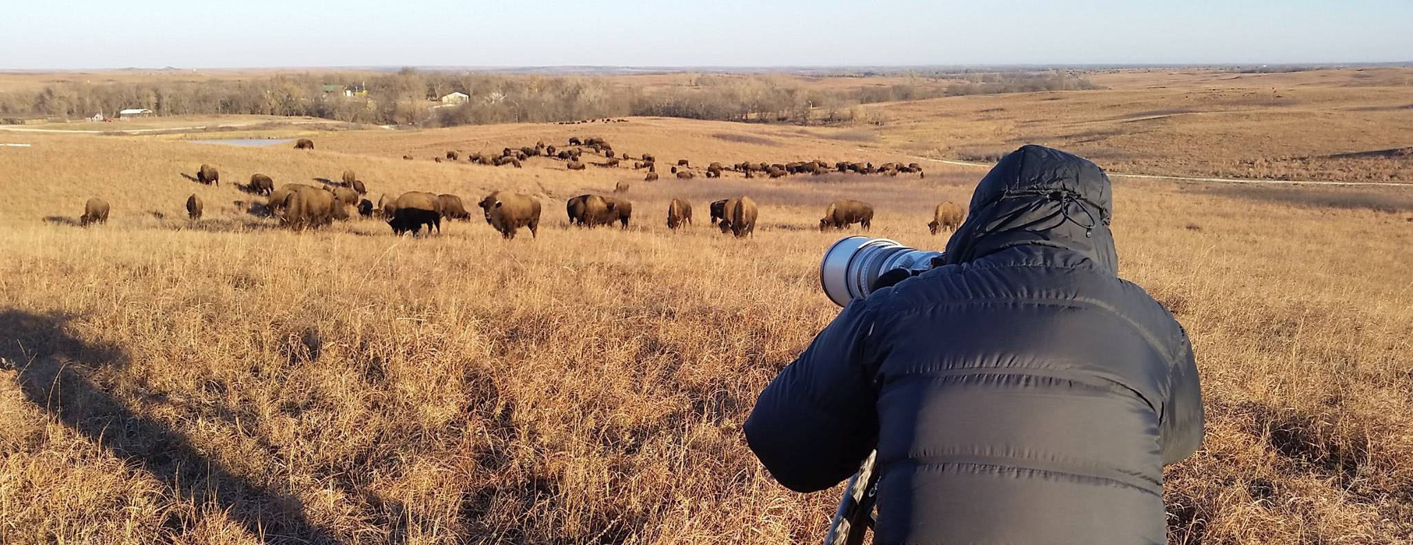 Photographing the bison at sunrise. Photo by Jeff Heidel. 