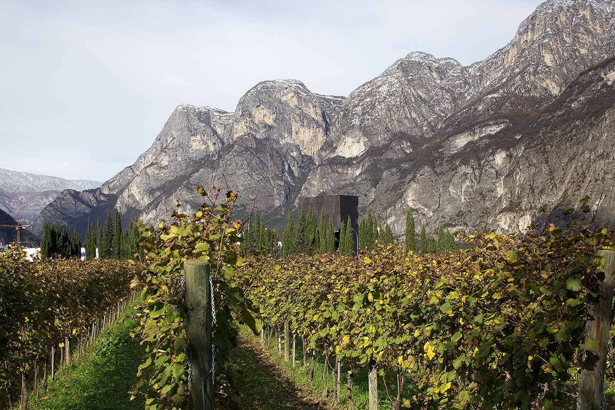 NARDELLIaussen--018.jpg