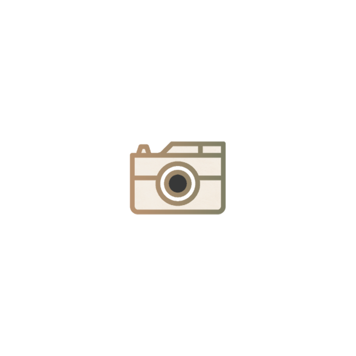 camera icon-small copy.png