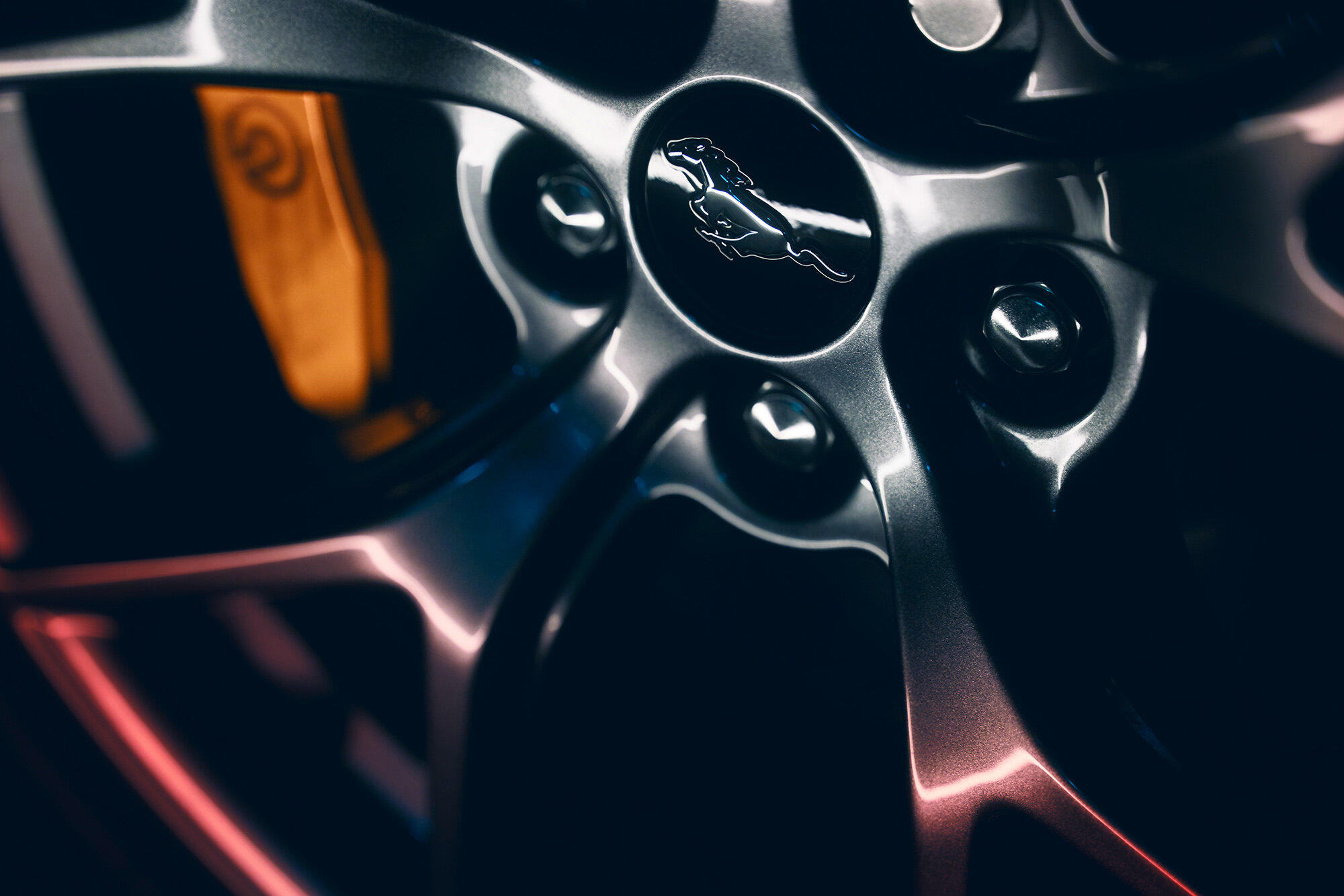 Mustang_grey_detail_70.jpg