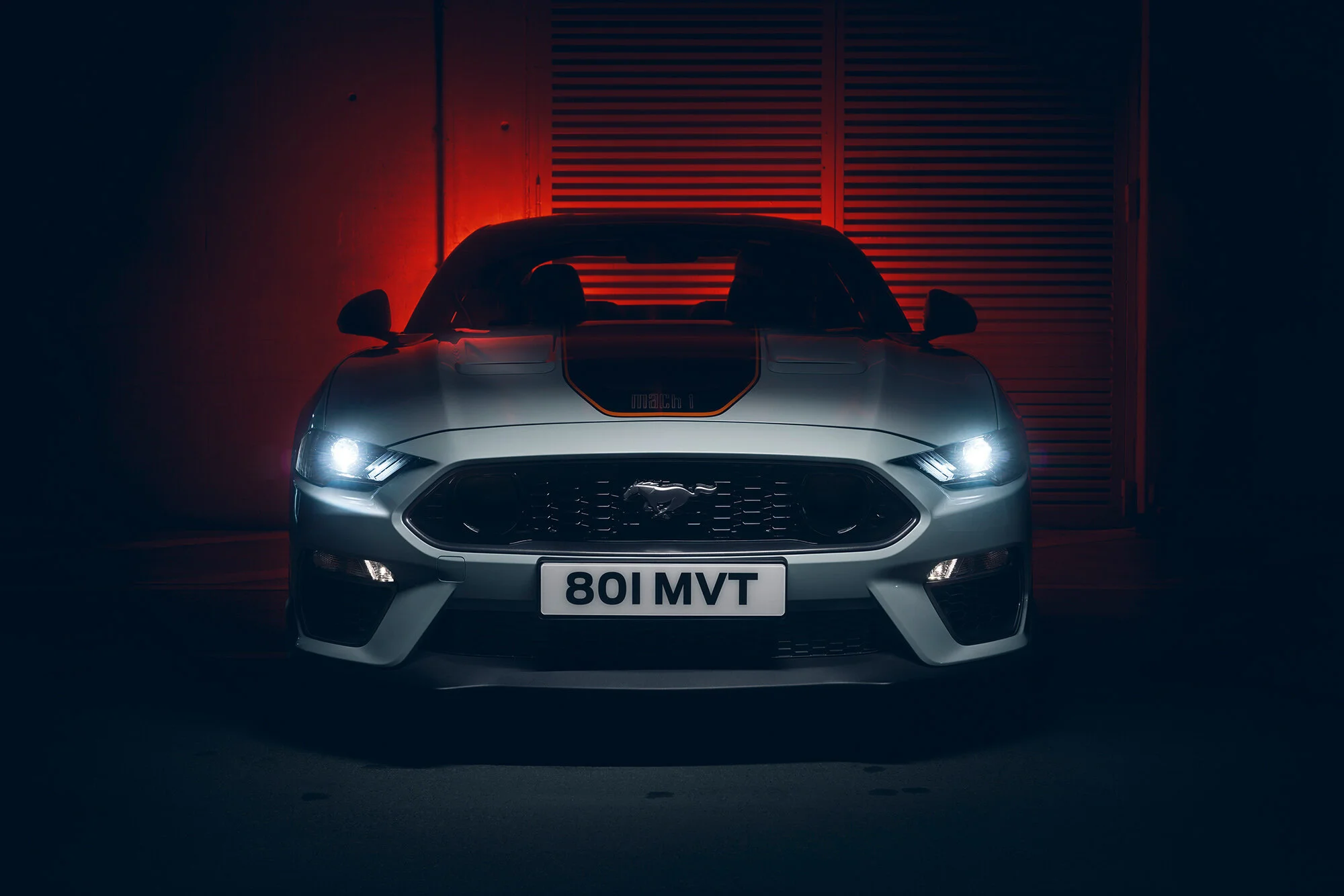 Mustang_grey_detail_71.jpg