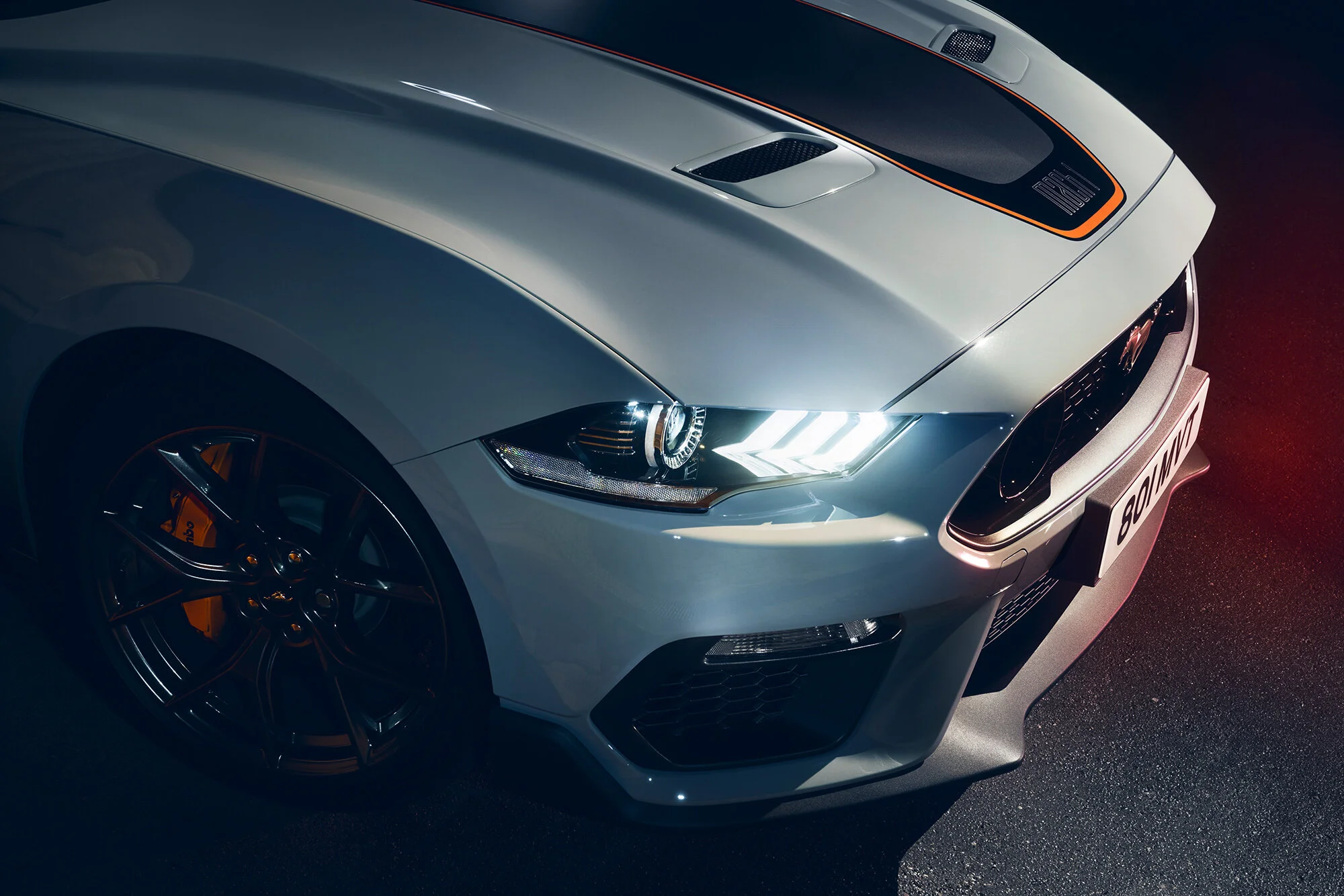 Mustang_grey_detail_89.jpg