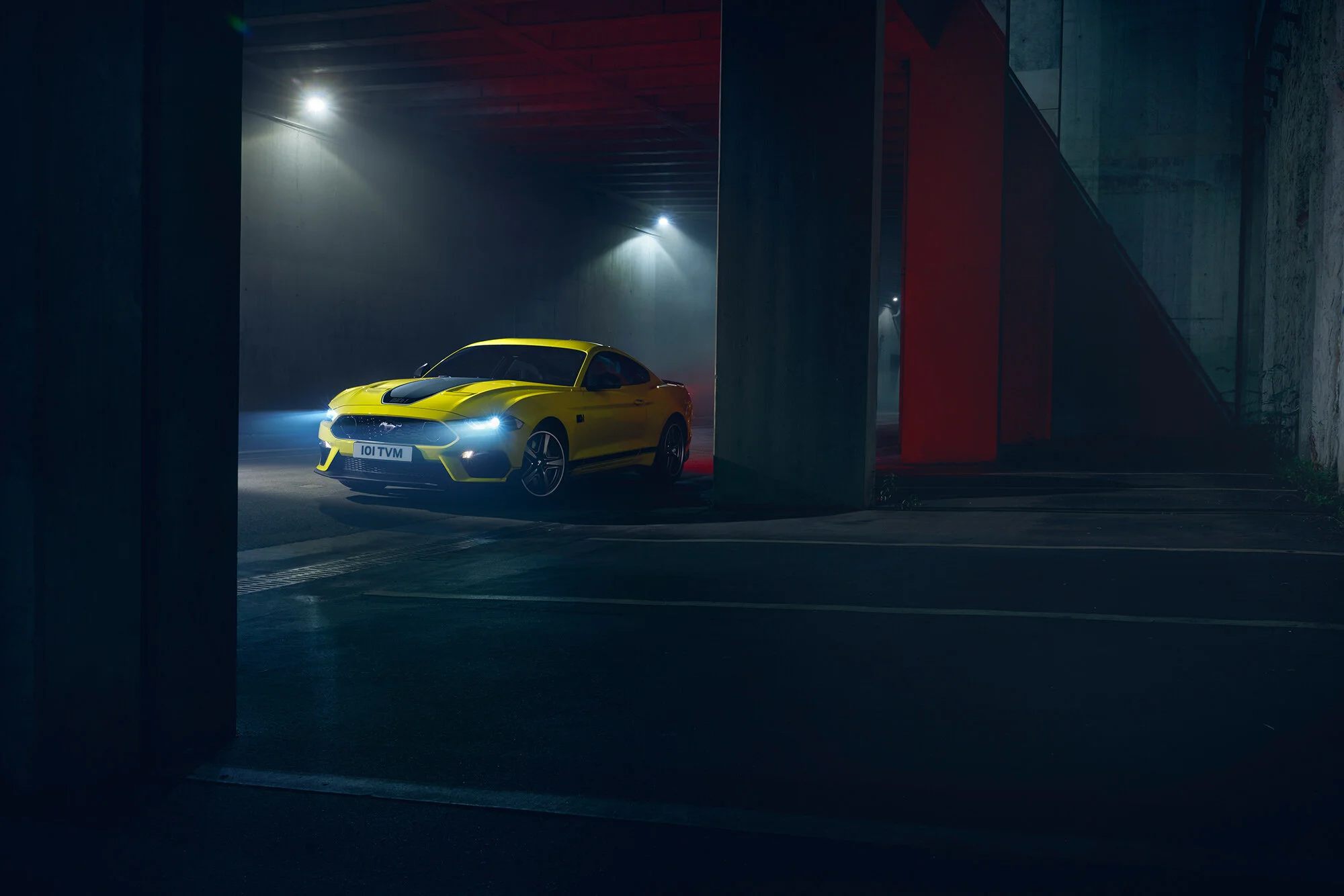 Mustang_yellow_freestyle_1735.jpg
