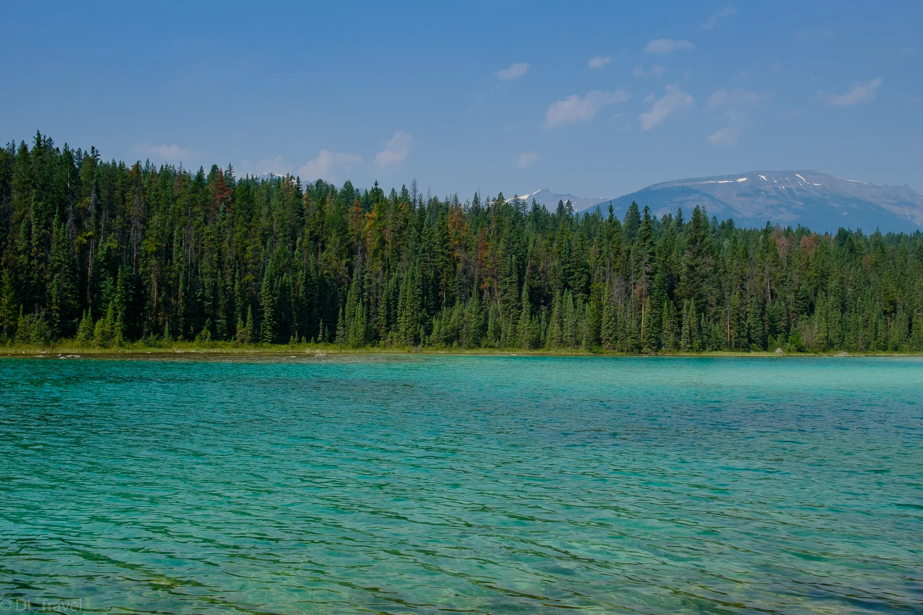 DSCF1446.jpg