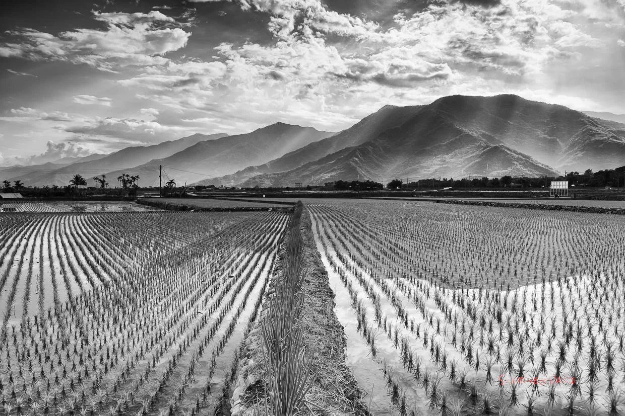 20160728-163140-_MG_3038-編輯-2.jpg