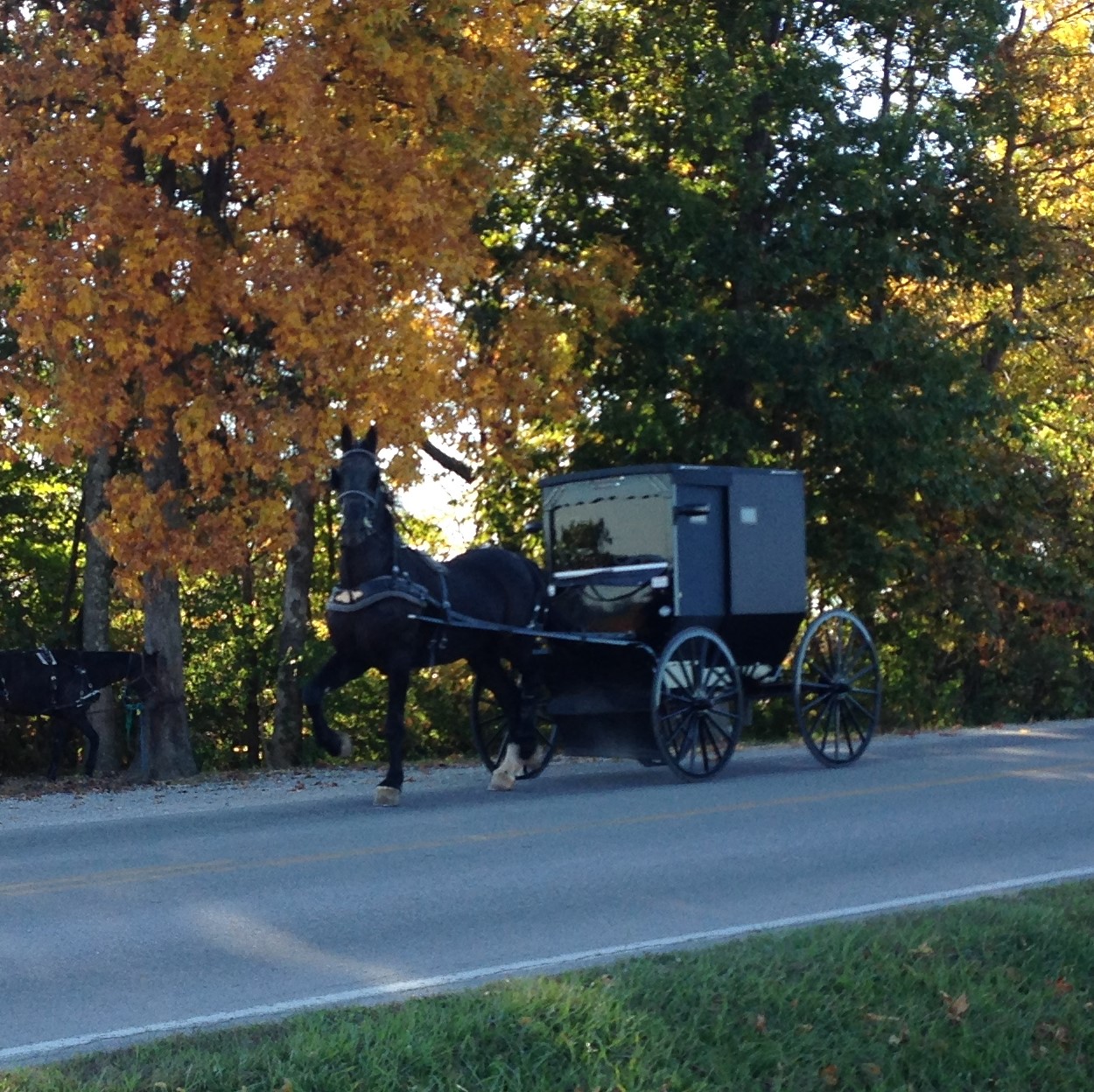 IMG_2183 Amish Buggy.jpg