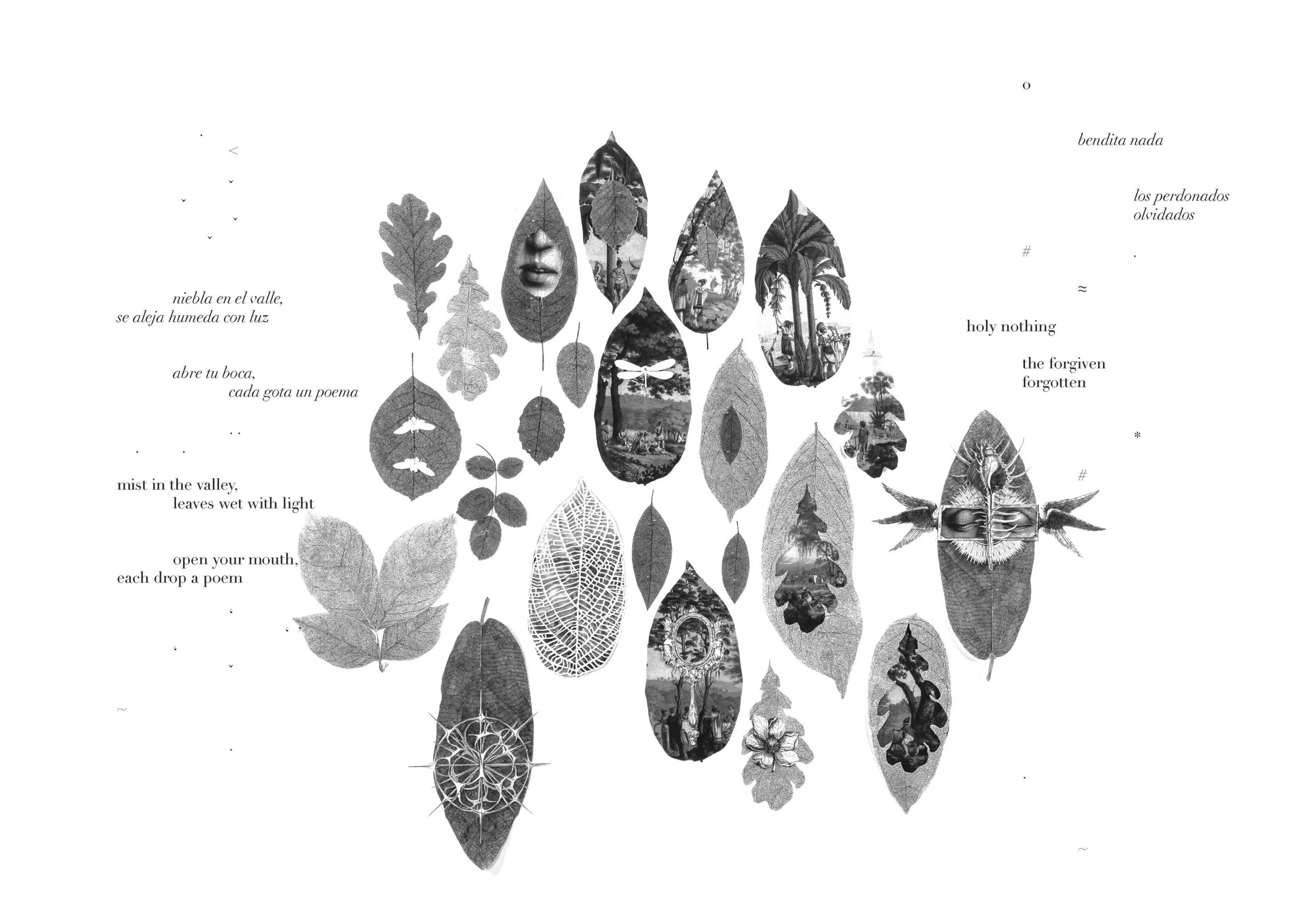 Phosphene Book_v001 images_Page_16.jpg