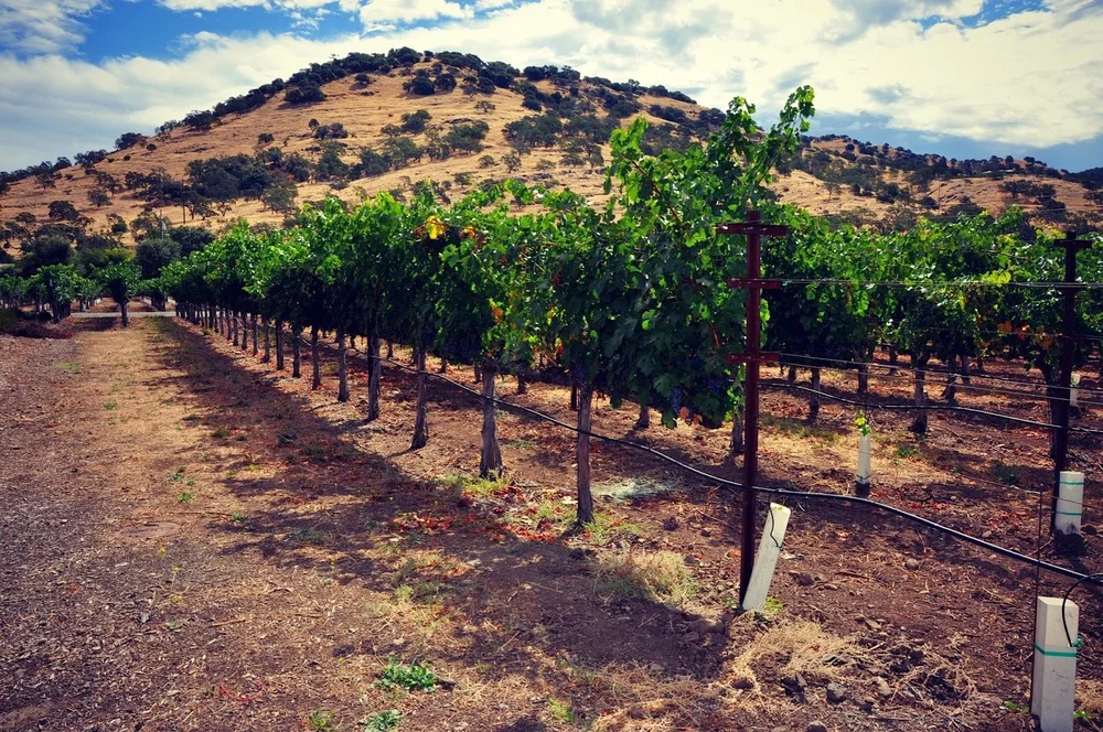 #101lovestravel: Napa
