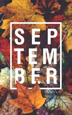 September Budget Babe: 10 under $50!