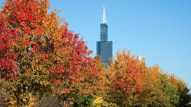 Your Complete Guide to Fall in Chicagoland.