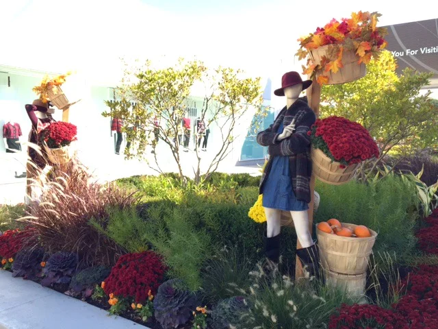 Westfield Old Orchard Harvest Fest