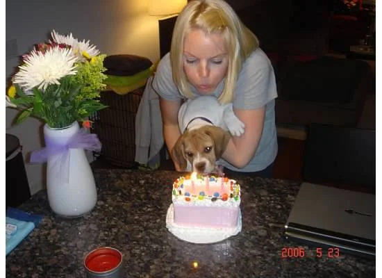 10 life lessons I learned from Lucy.