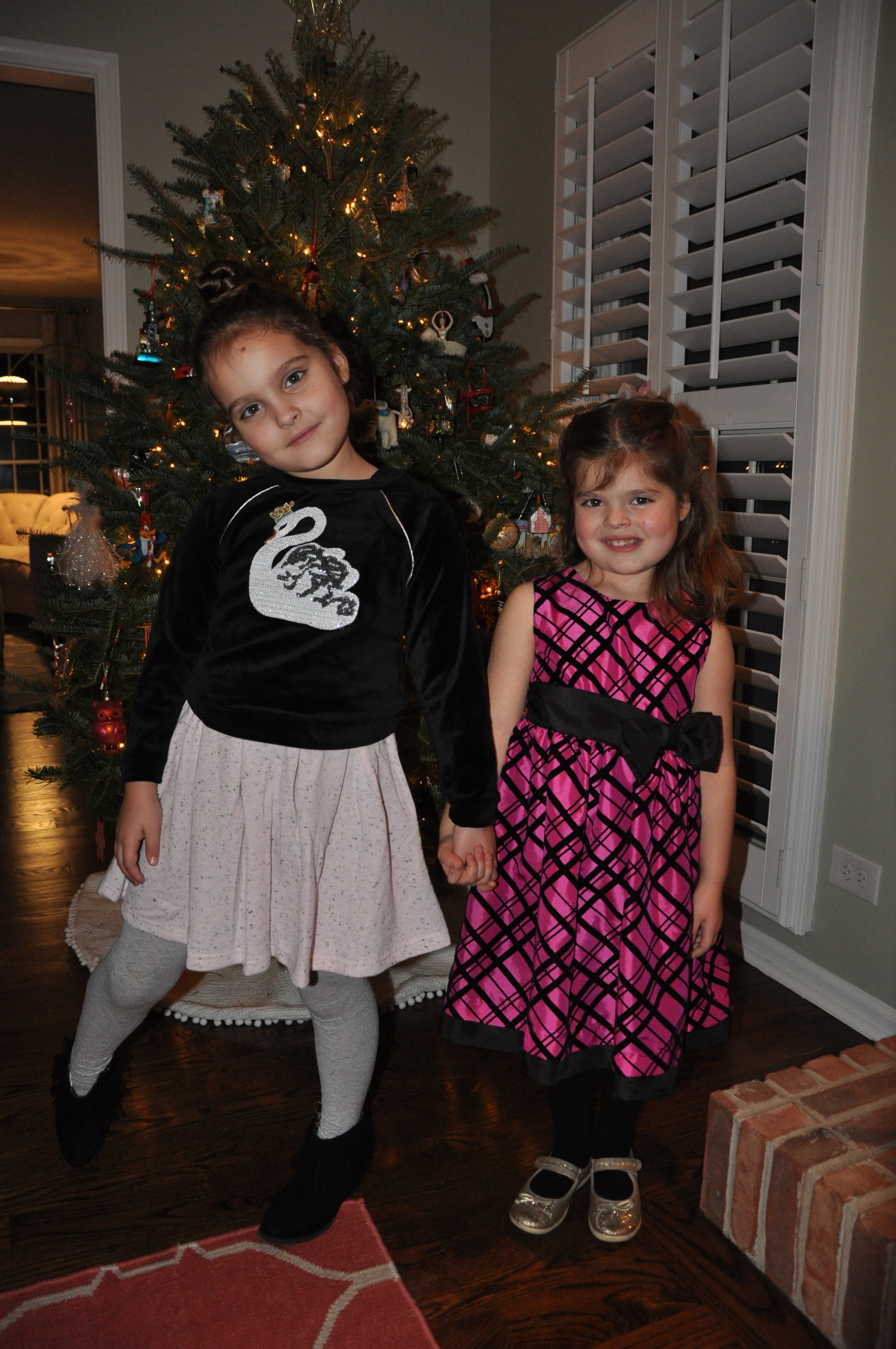 Daddy/Daughter Dance - An evening in Paris.