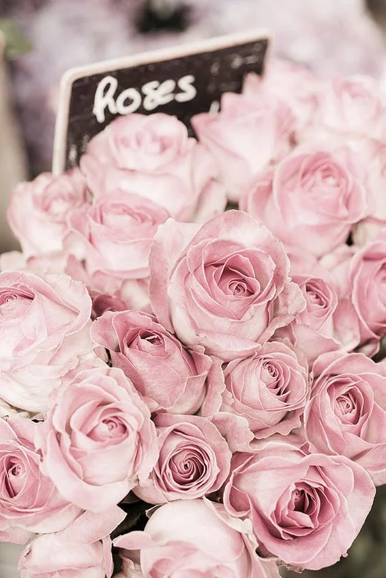 Beauty: The return of rose.