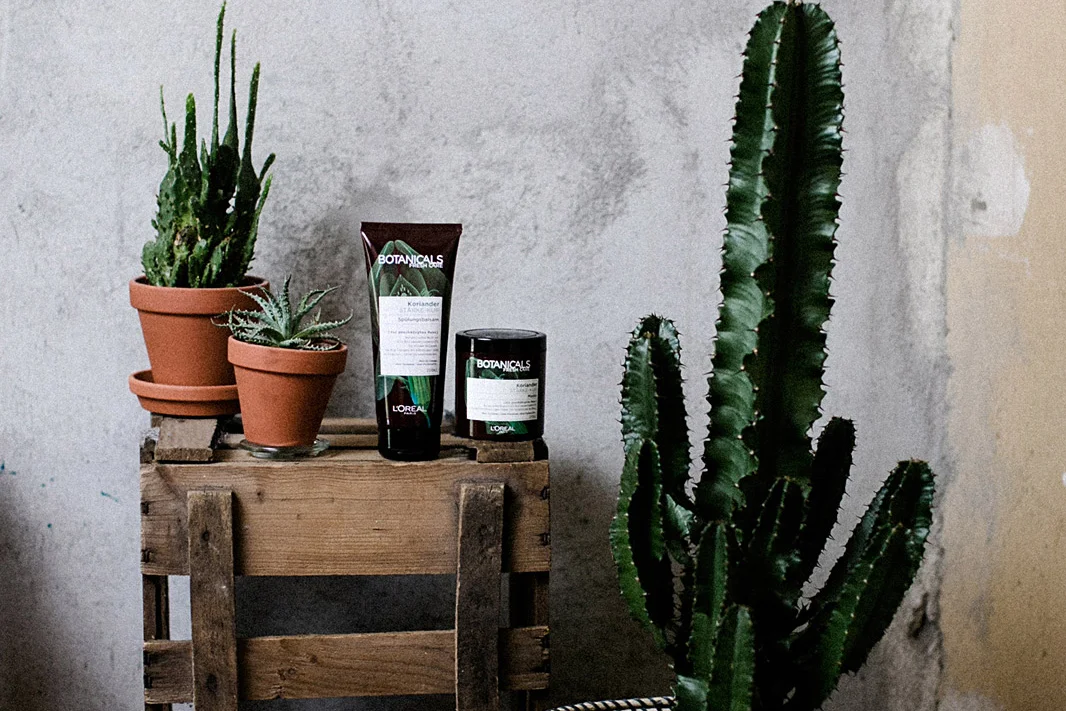 LORÉAL - BOTANICALS FRESH CARE