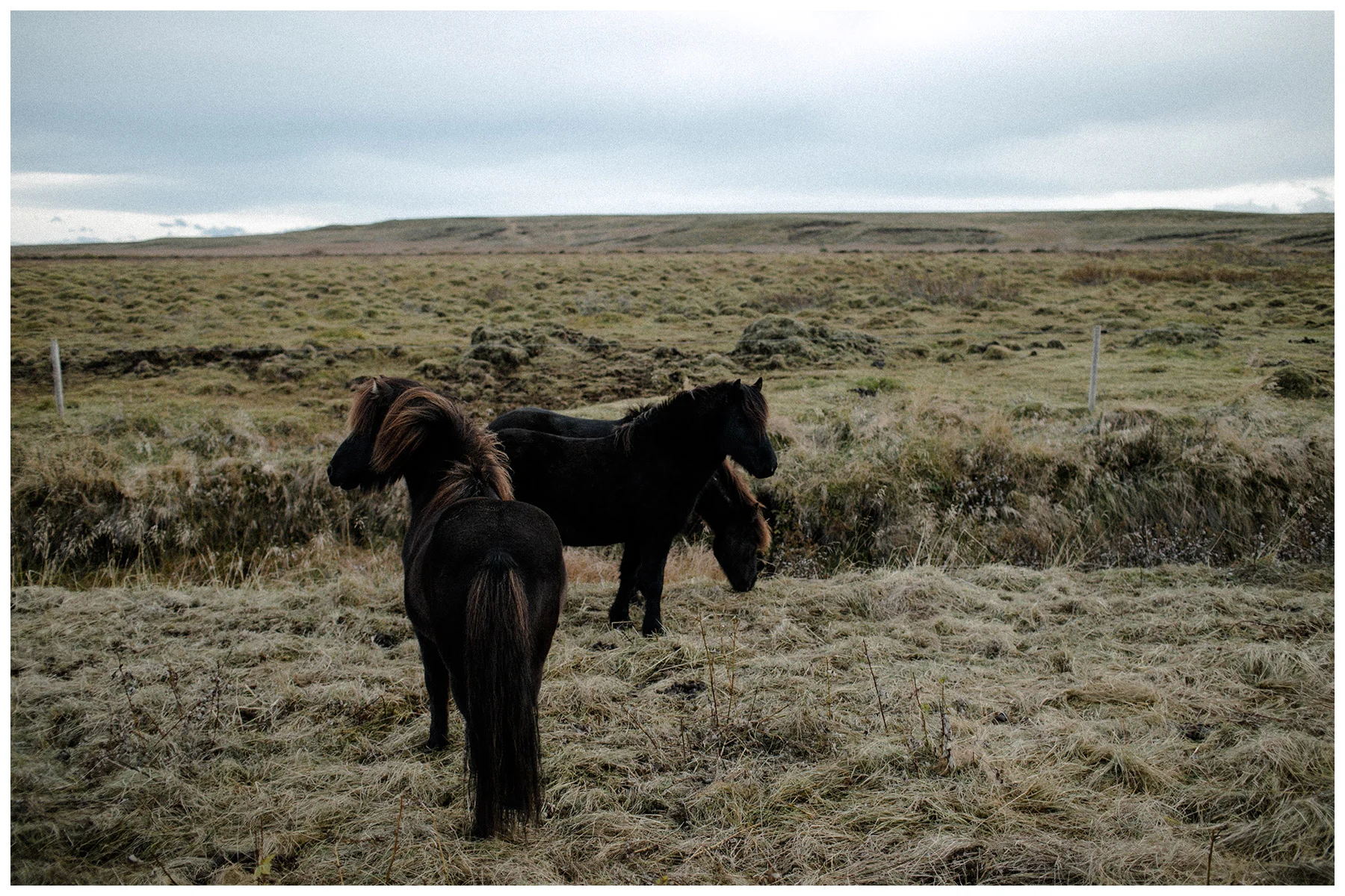 ohhedwig-island-wowair-travel-fotografie_5