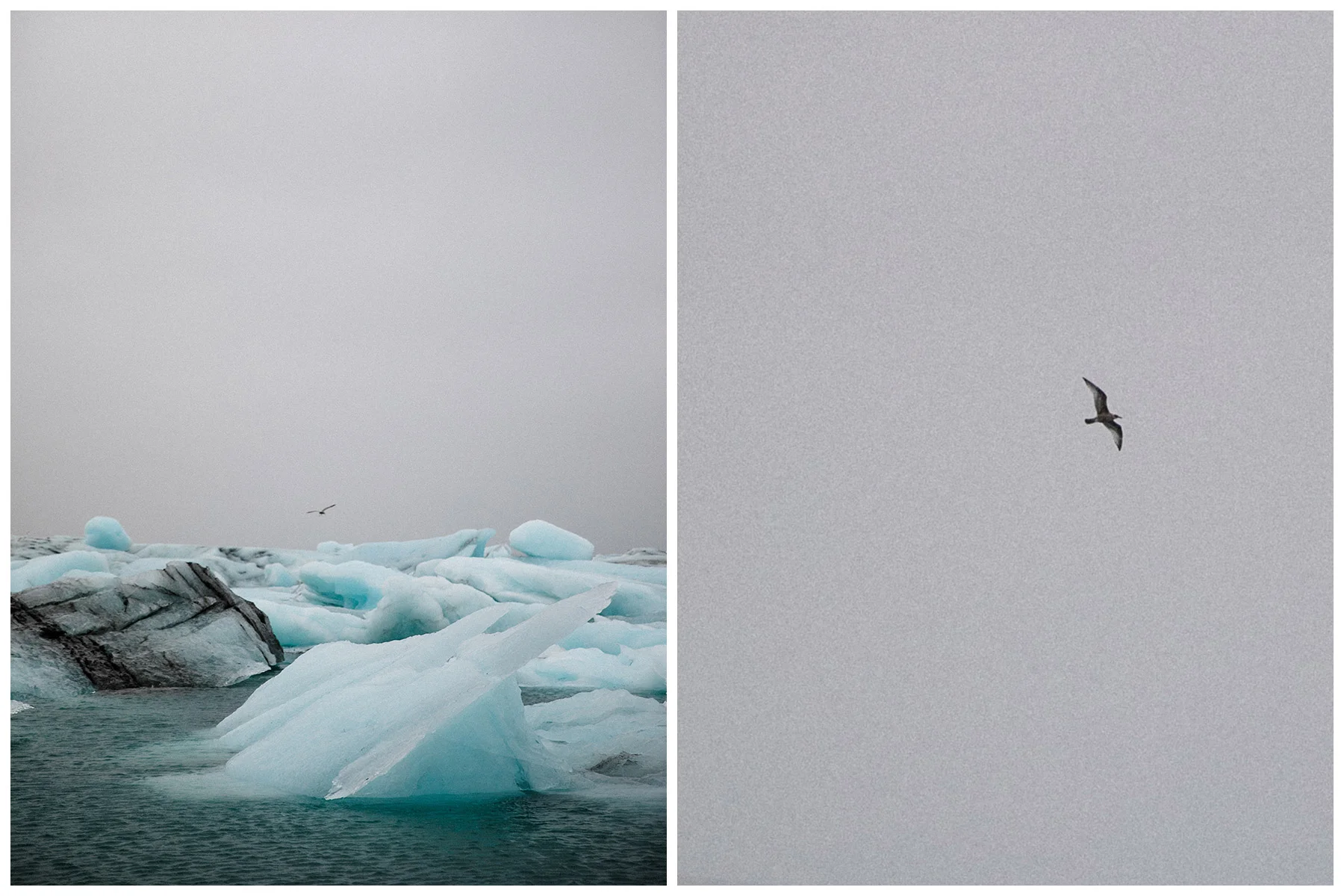 ohhedwig-island-wowair-travel-fotografie_16