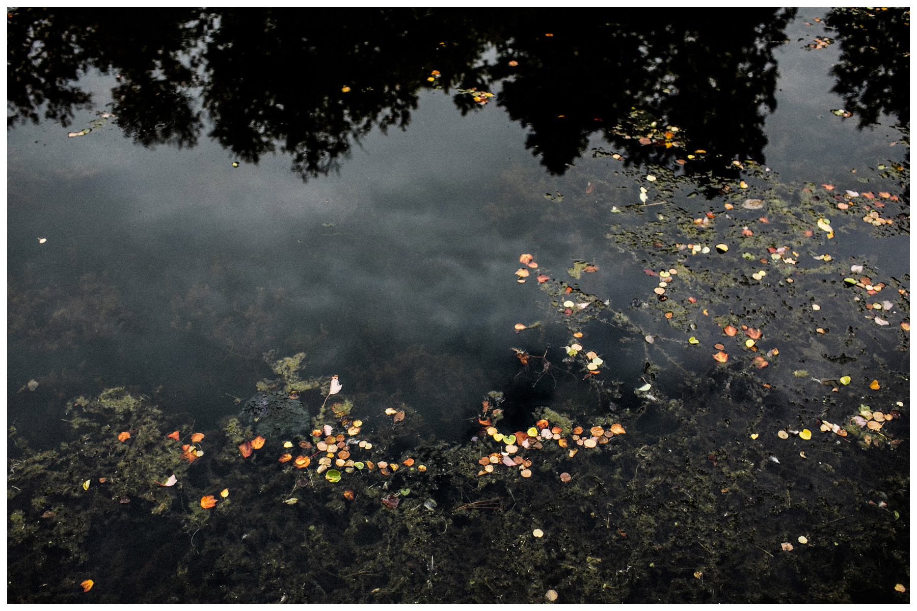 hochzeits-fotografin-berlin-herbsthochzeit_46