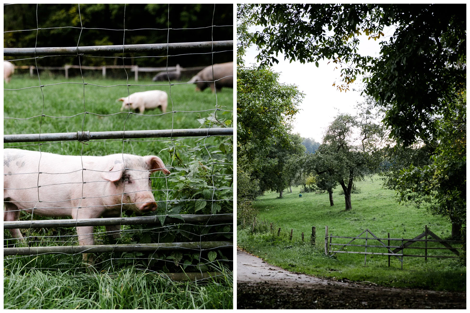 brautpaar-fotos-hochzeits-fotografin-berlin_67