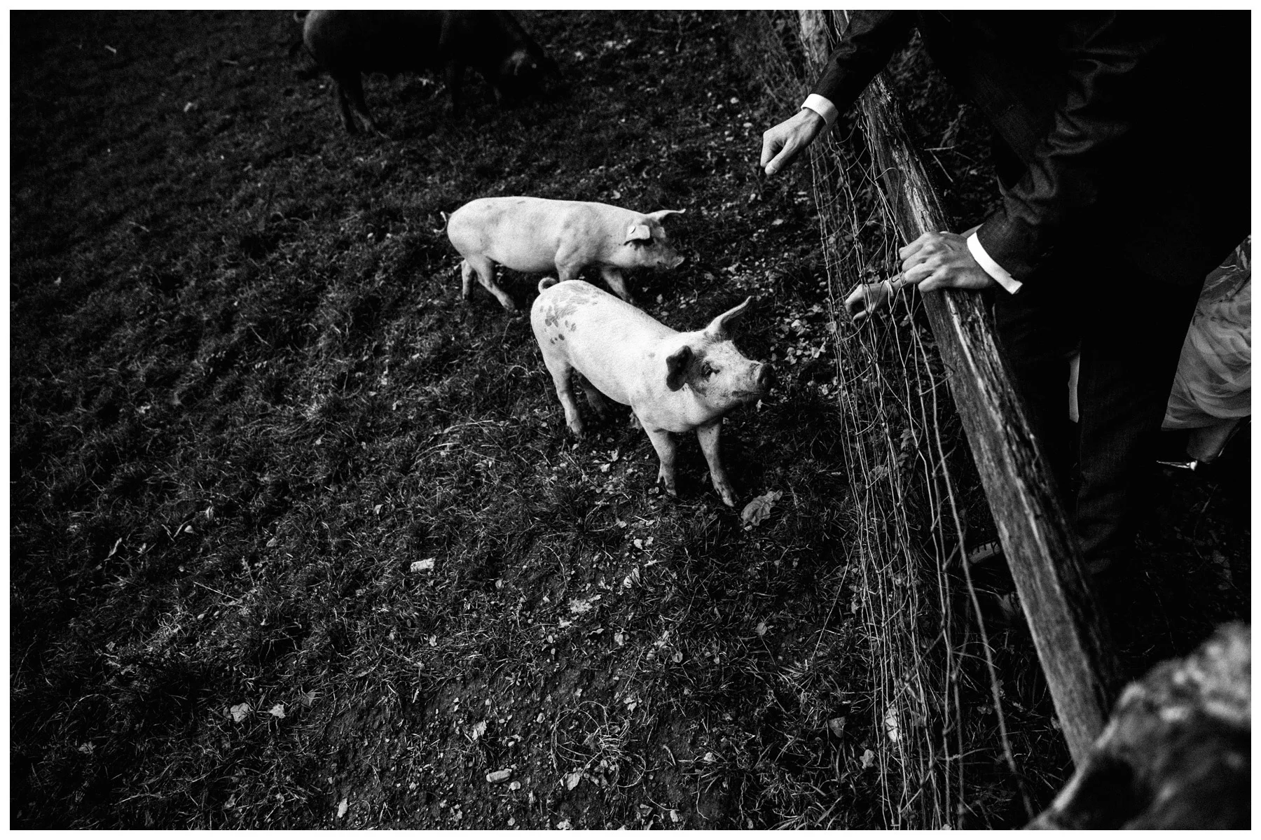 brautpaar-fotos-hochzeits-fotografin-berlin_66