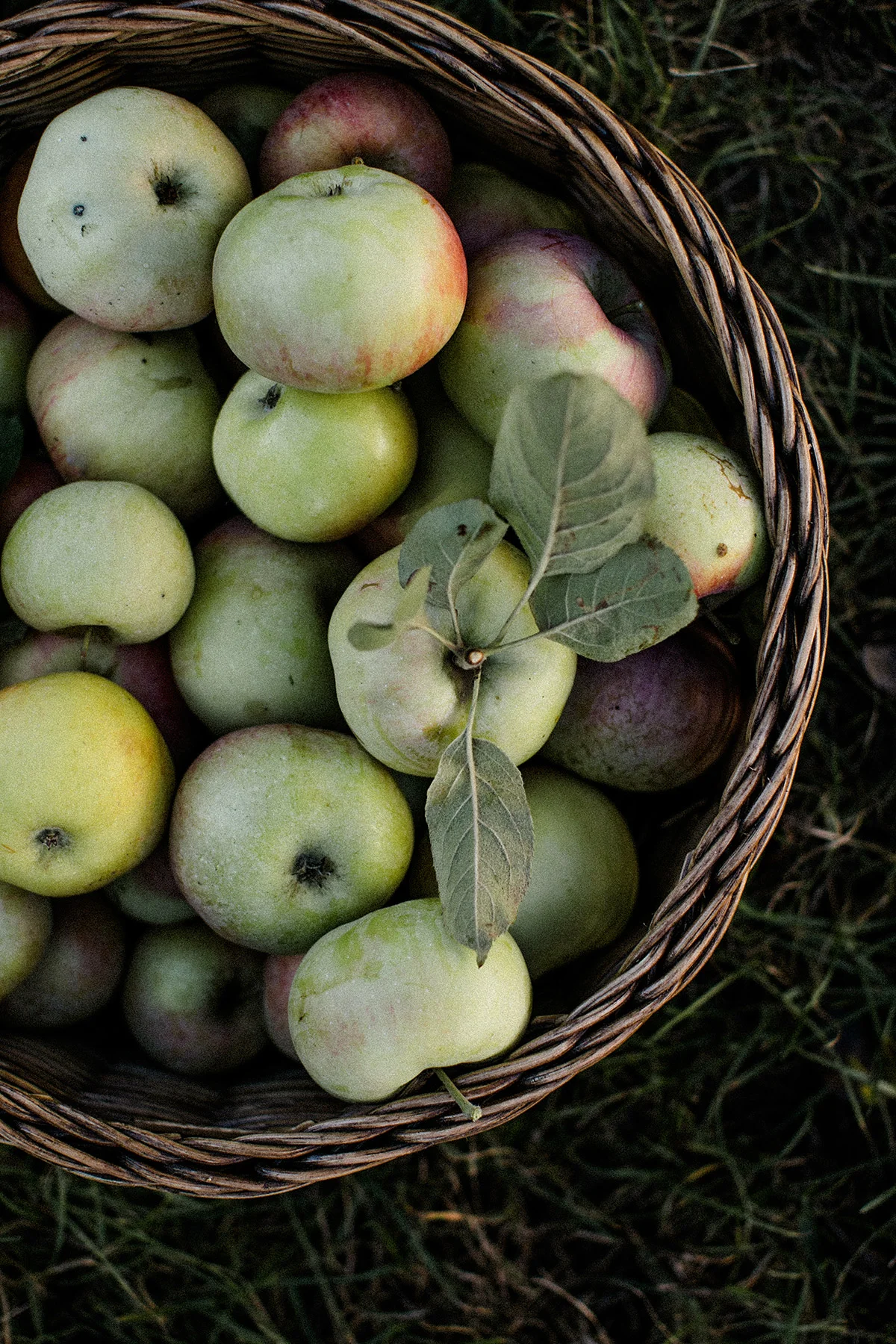 urbanara-lifestyle-fotografin-werbefotografie-berlin-18