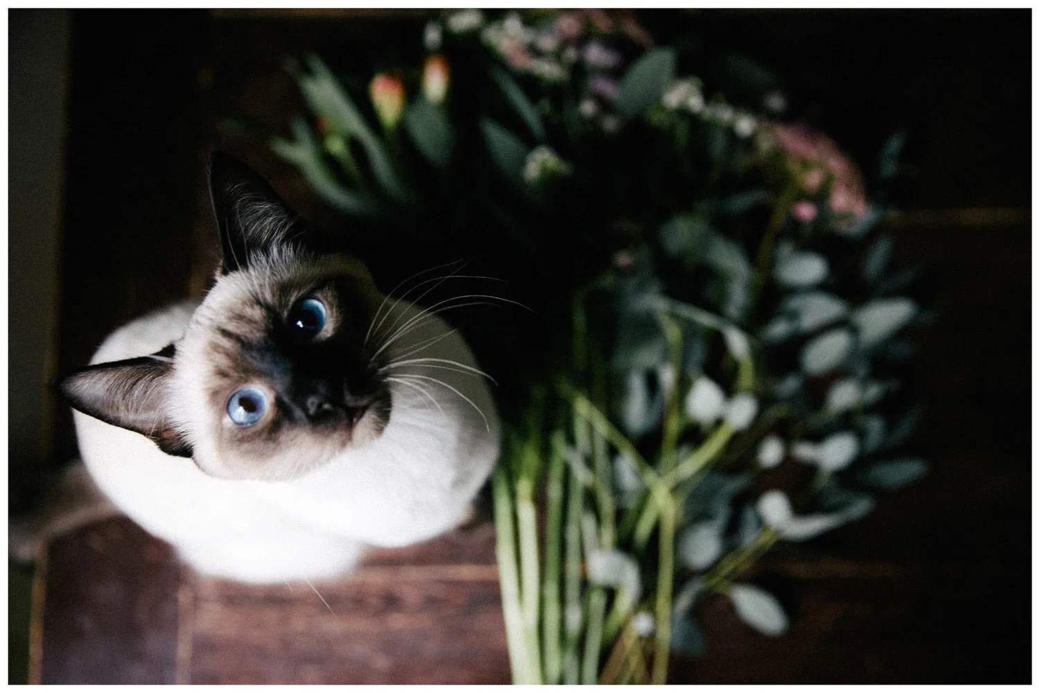 Sommer auf dem Küchentisch