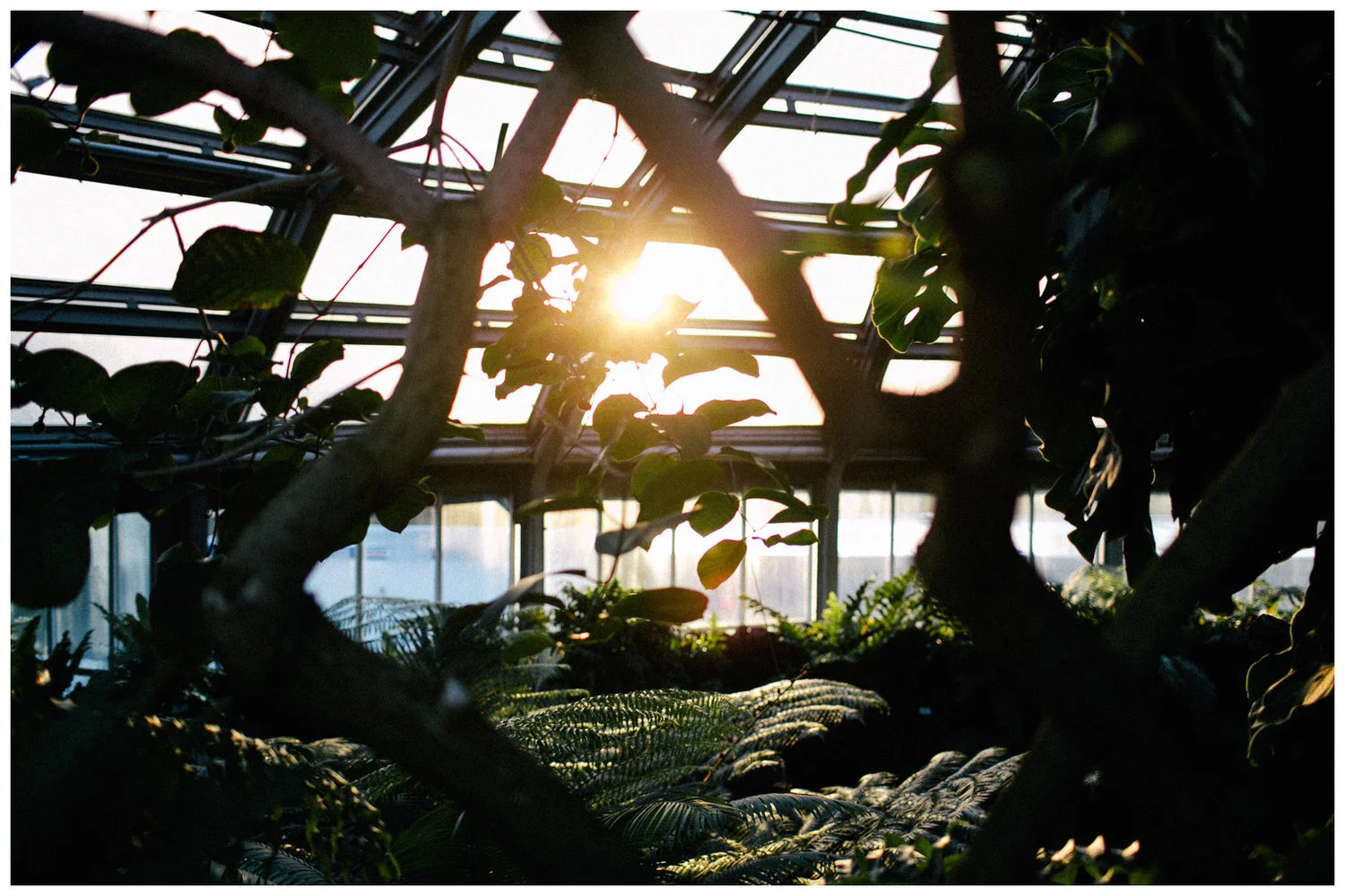 Wenn der Winter kommt