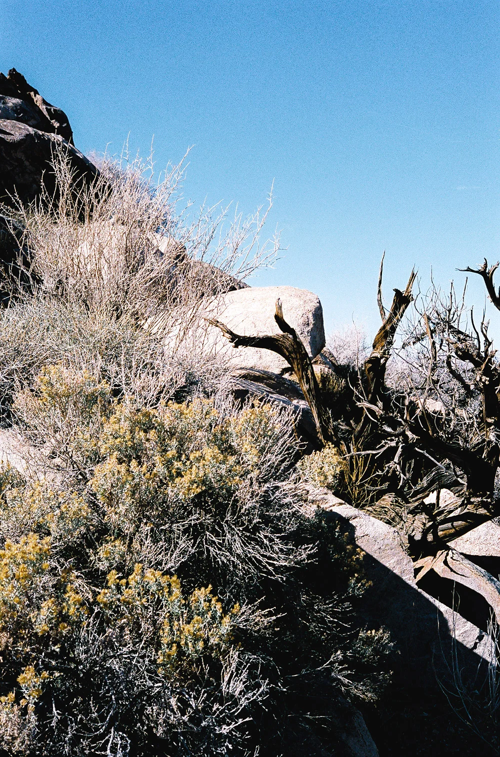 002766-R1-017.jpg