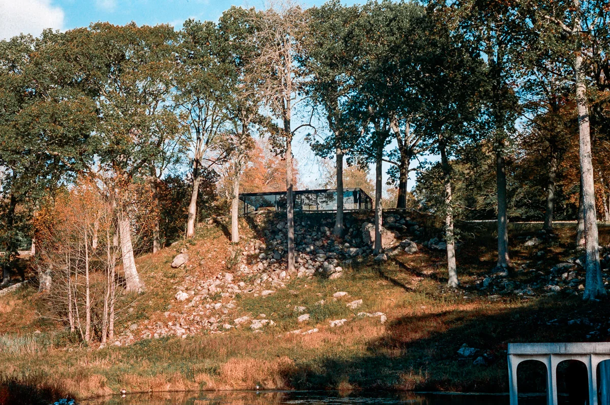 16880032.jpg