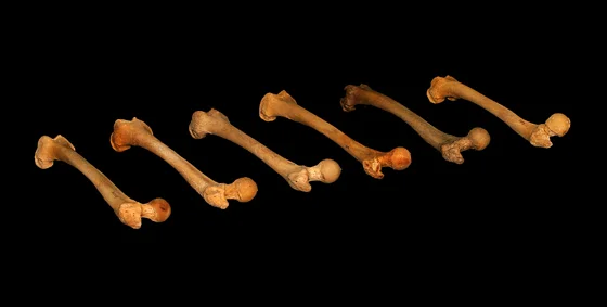 © Paul Grilley.com – Verwendung mit freundlicher Genehmigung.