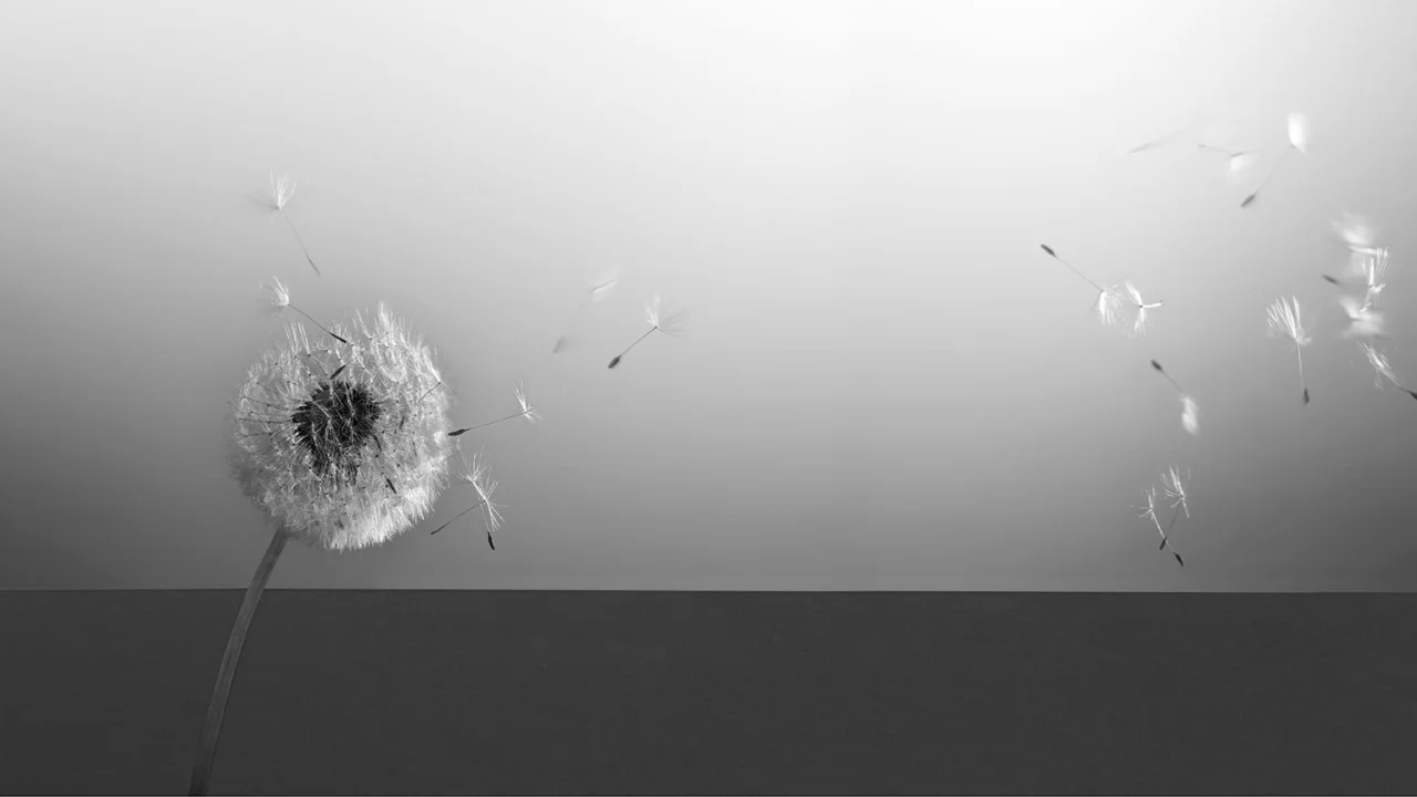 Sainsburys02.jpg