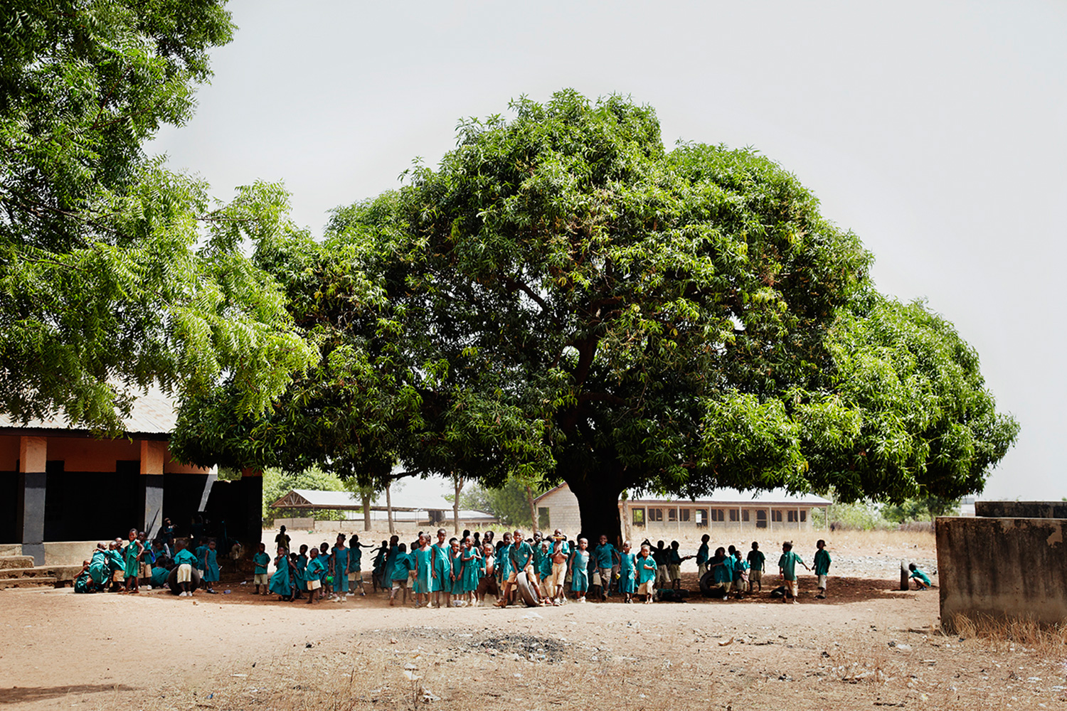 Camfed04.jpg