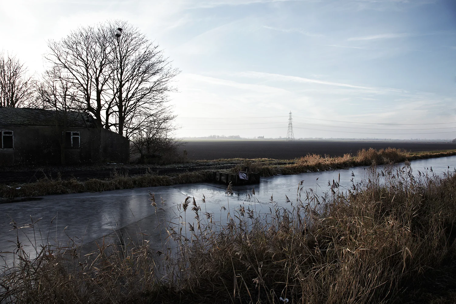 Fens01.jpg