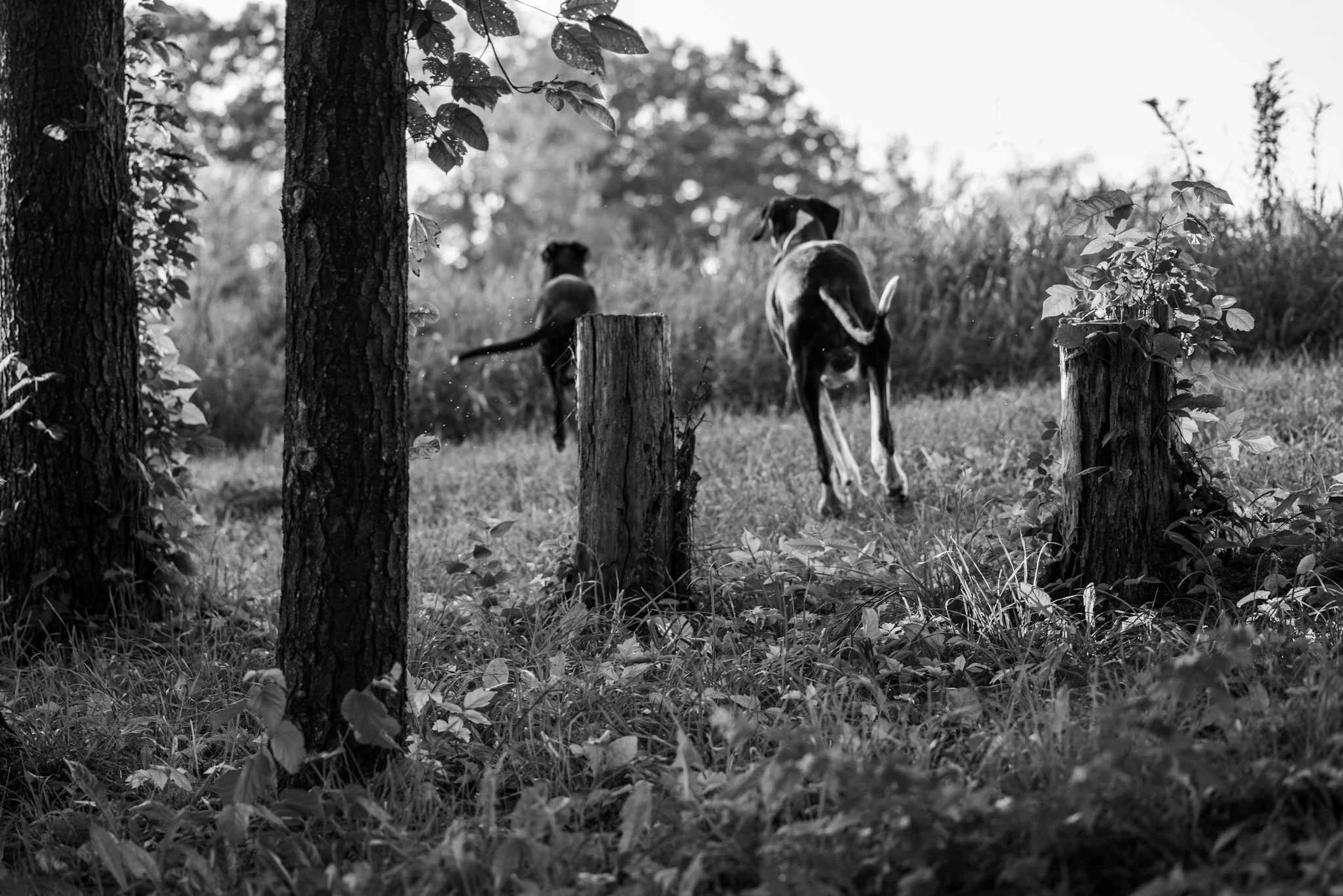 _IMG3076.jpg