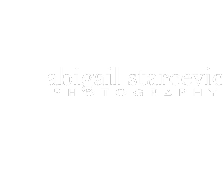 Abigail Starcevic Photography