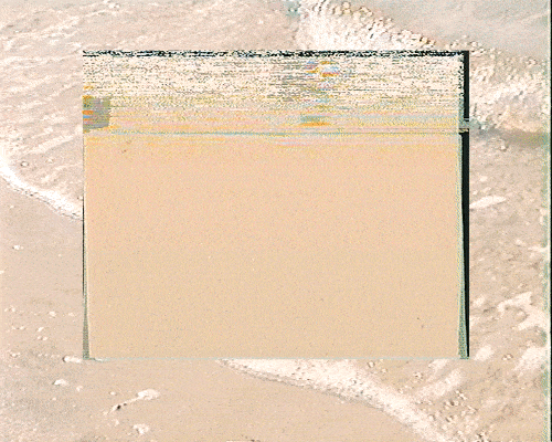 white_dog_studio_picnic_by_petra_mora_5.gif