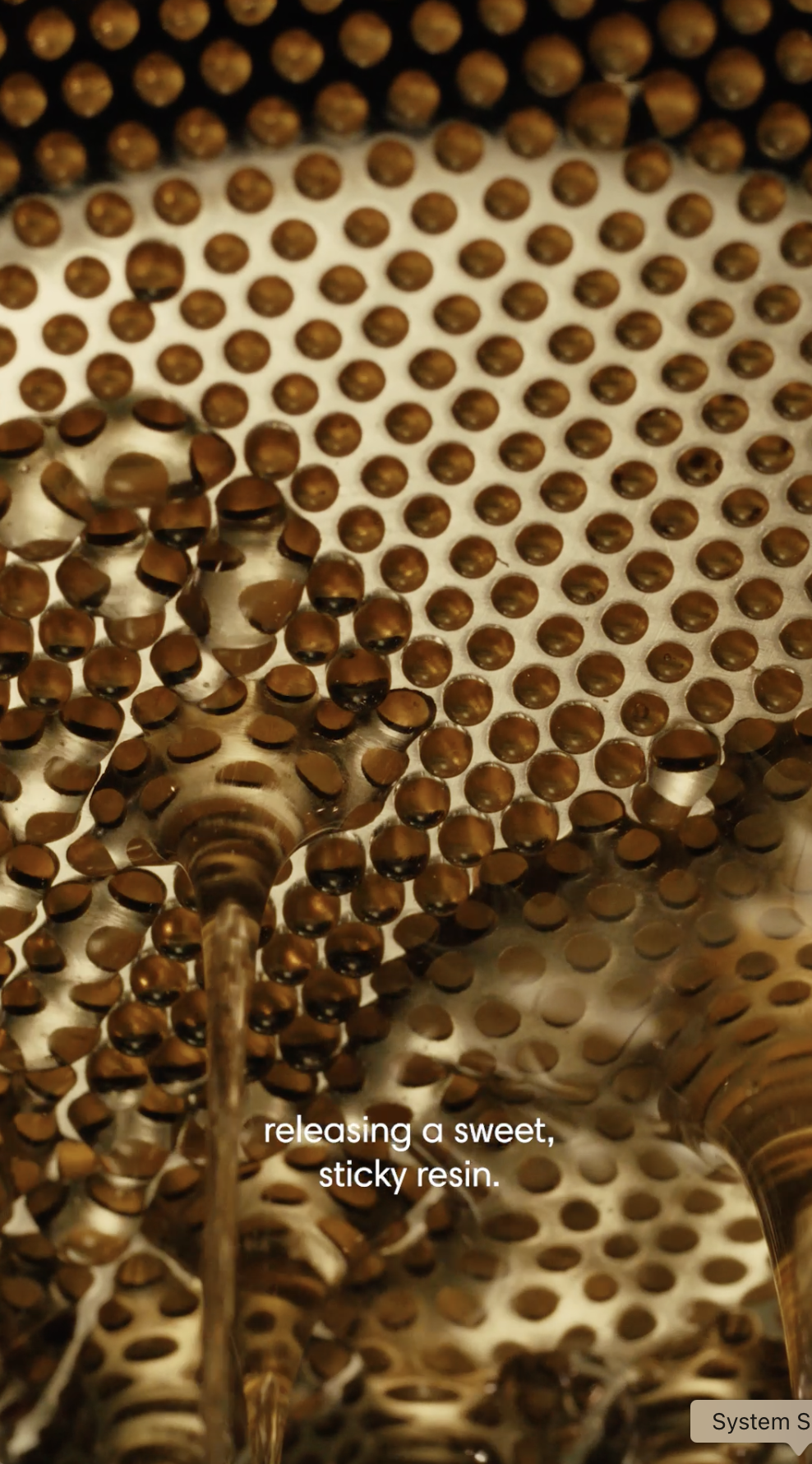 Screenshot 2026-04-09 at 14.24.15.png