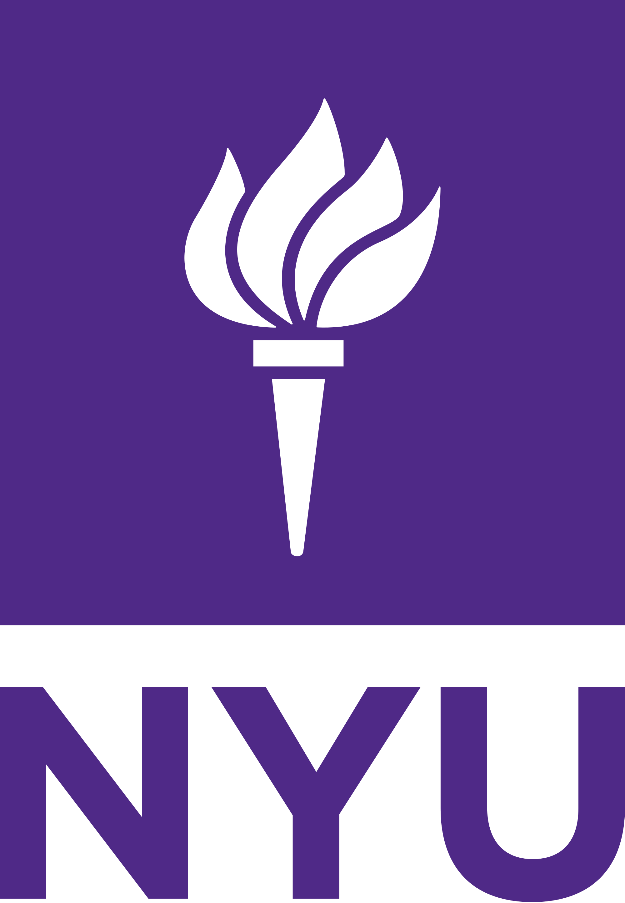 NYU.png