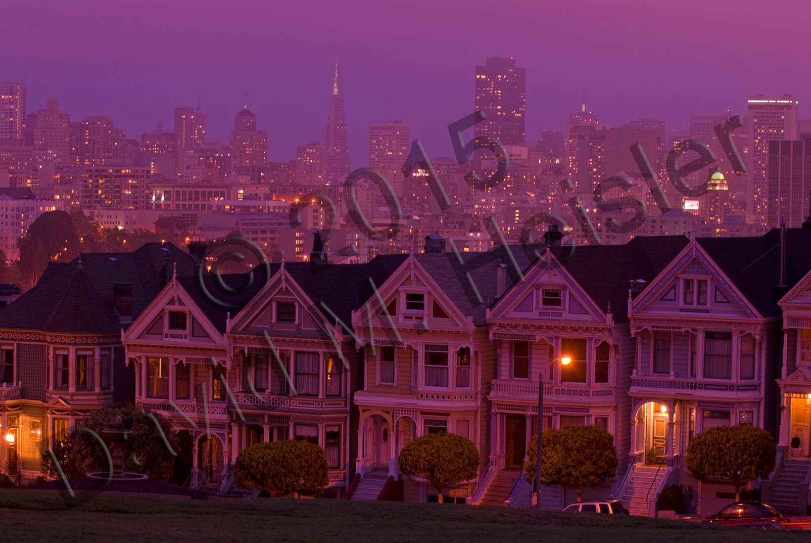 Painted Ladies at dusk