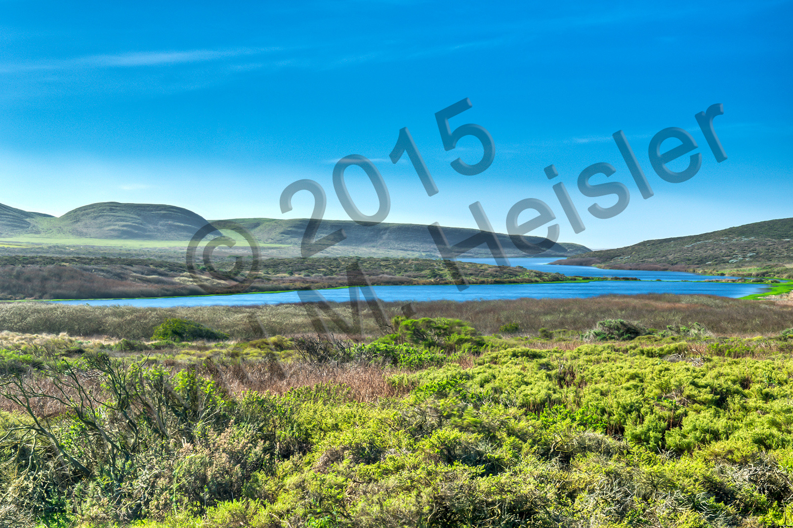 Pt. Reyes slough