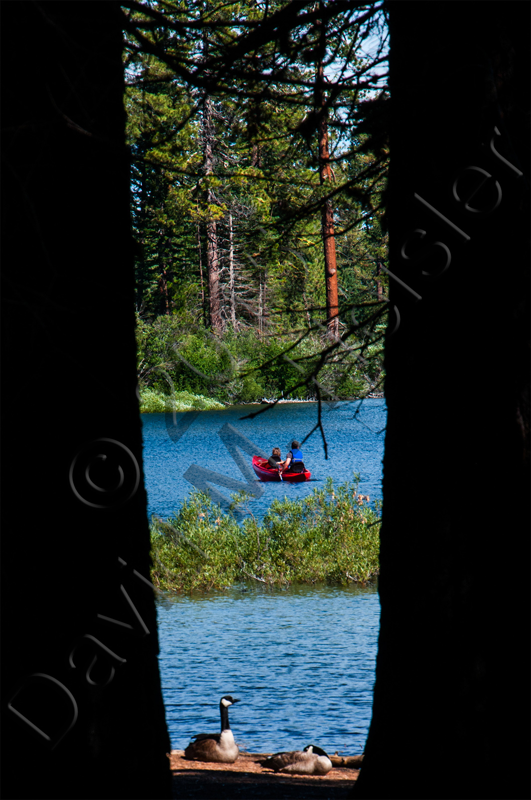 Canoe and gees, Manzanita Lake