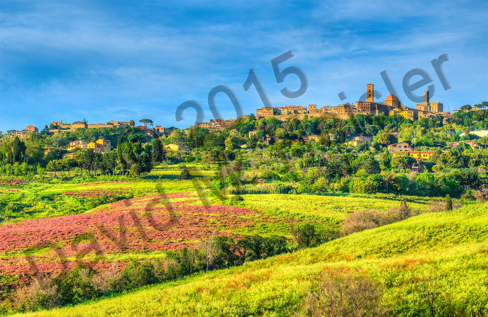 Volterra and red fields wide copy.jpg