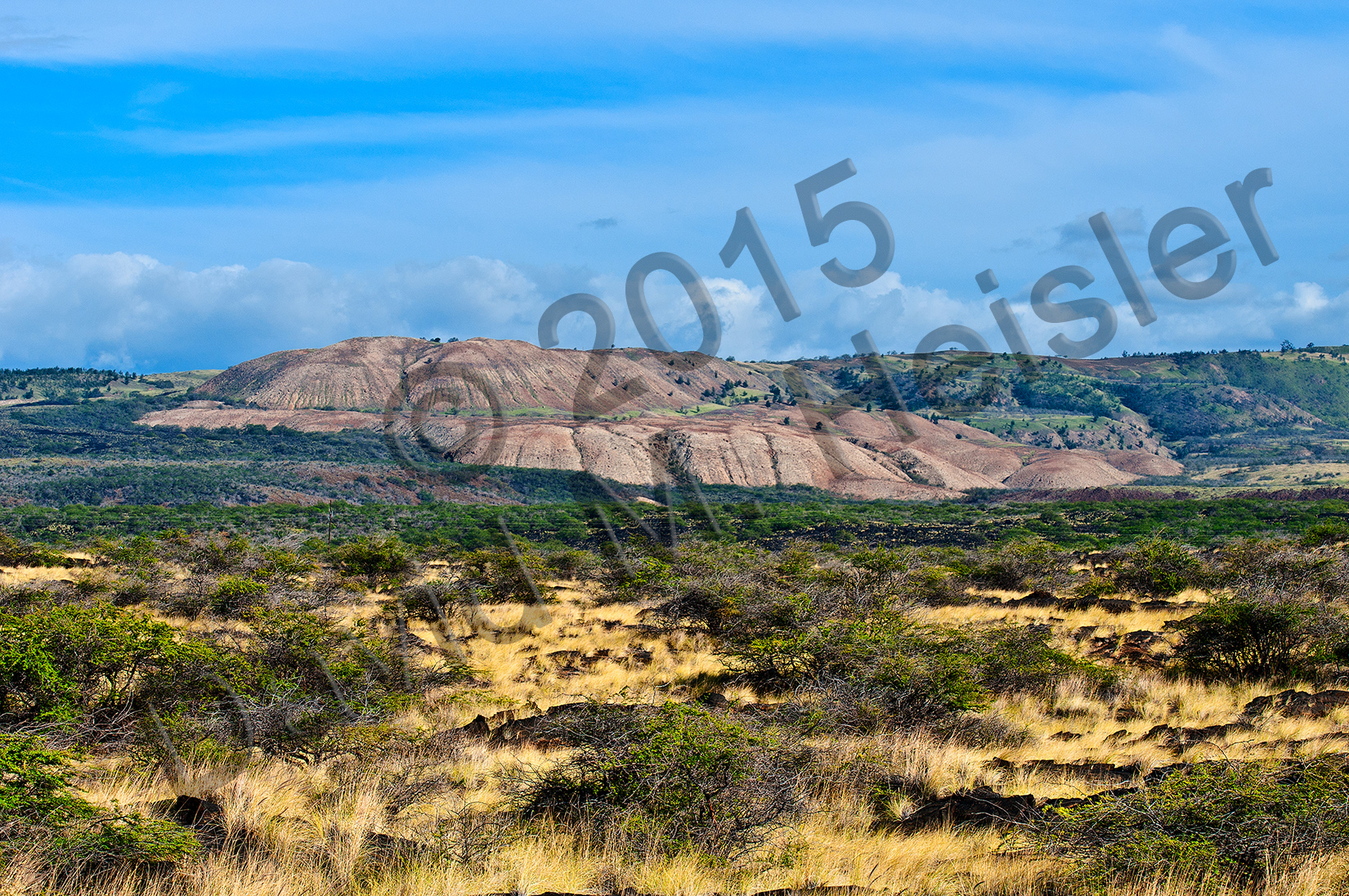Kona landscape