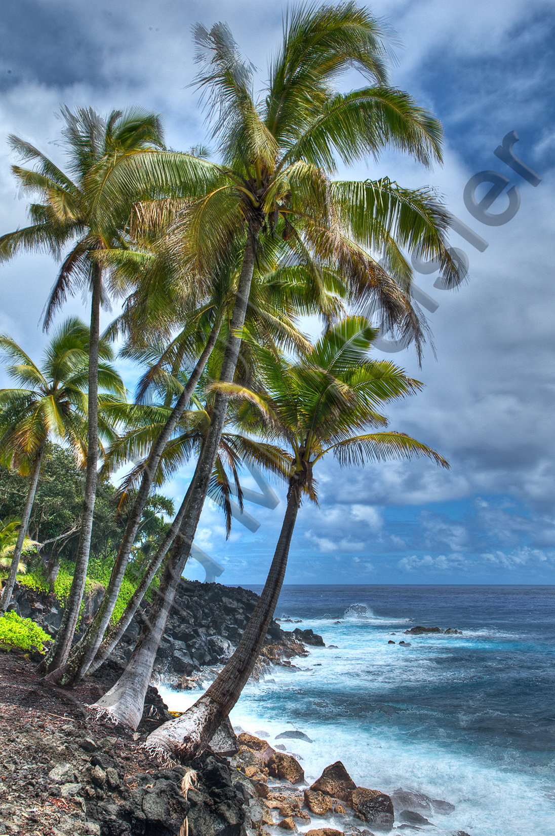 Puna coast