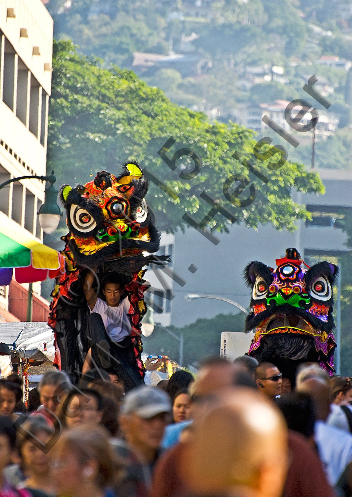 Chinese New Year in Honolulu