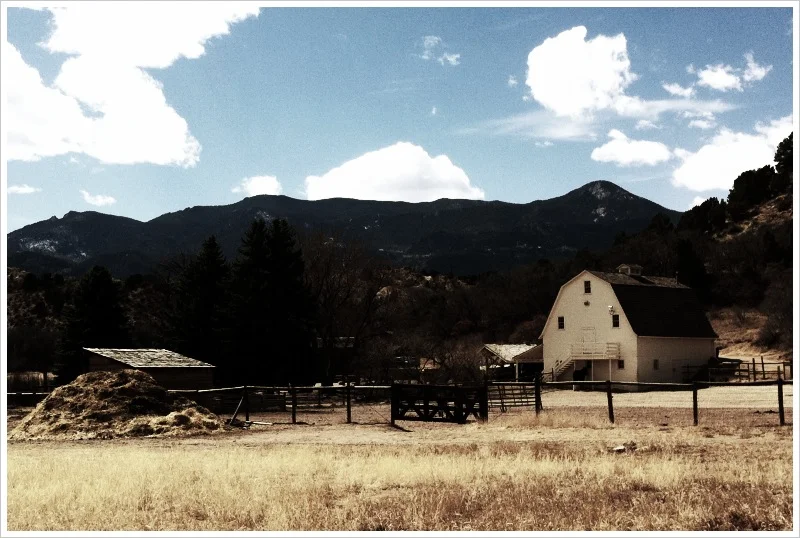 Elementary Field Trip