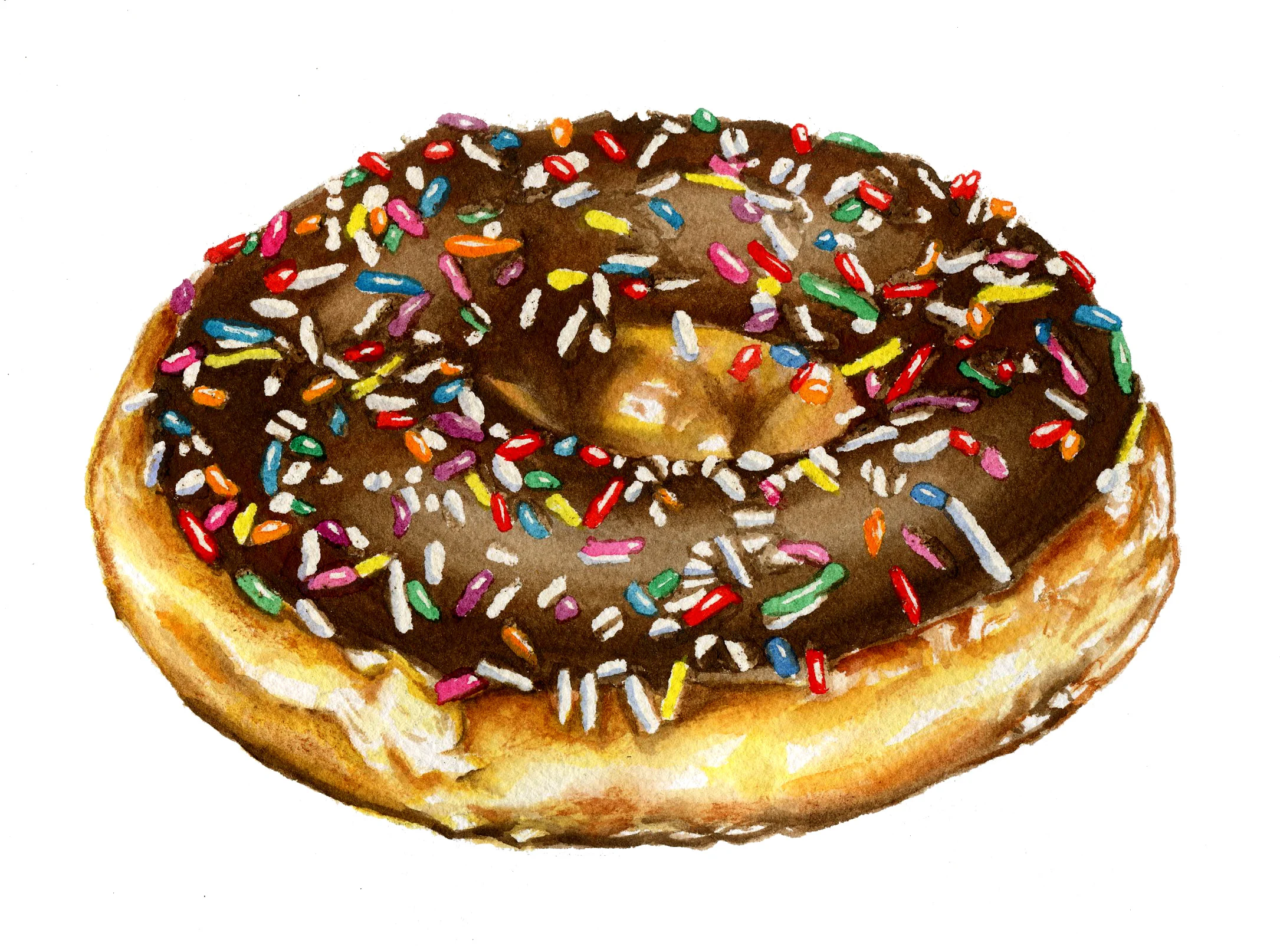 Doughnut