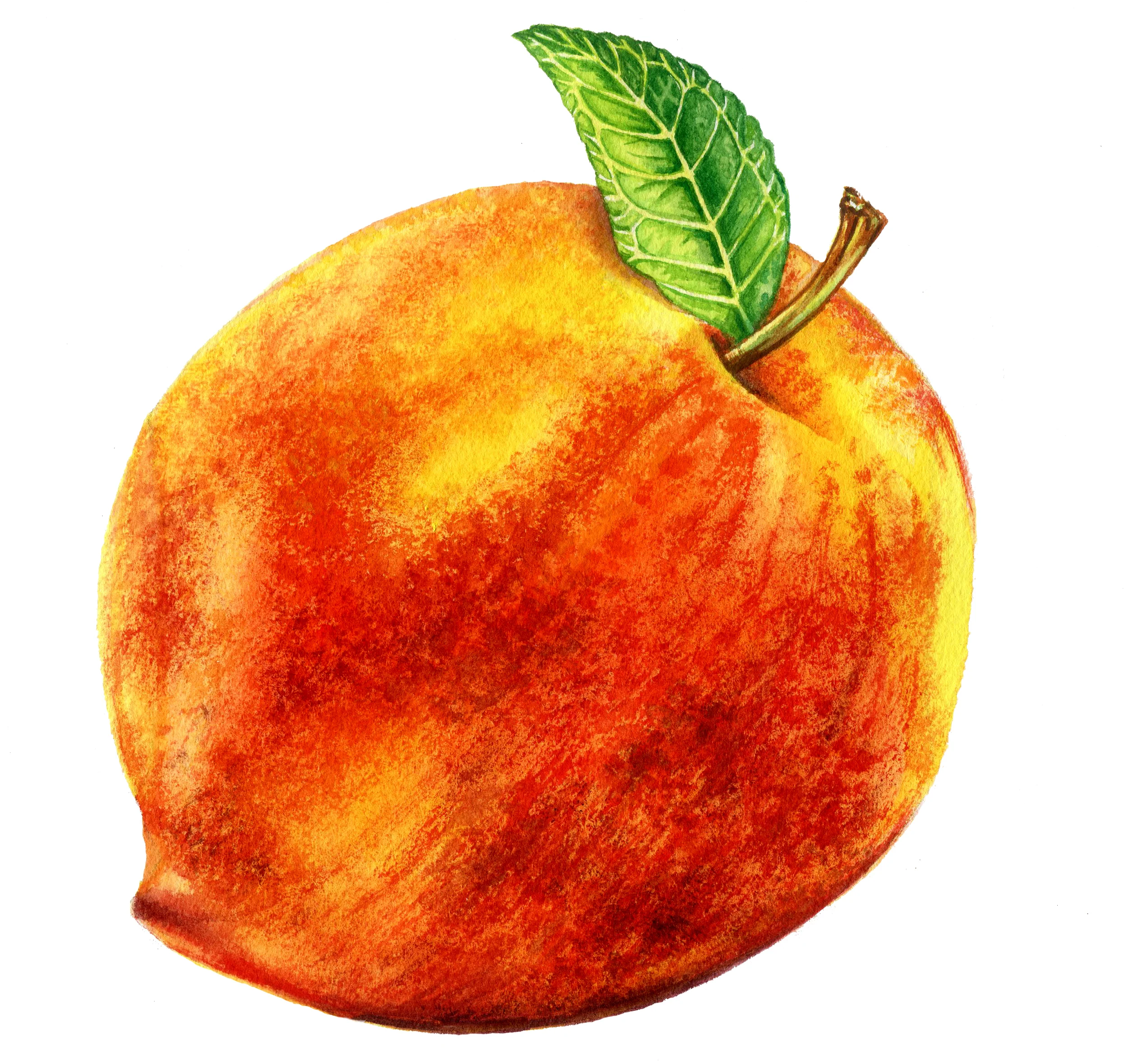 Peach