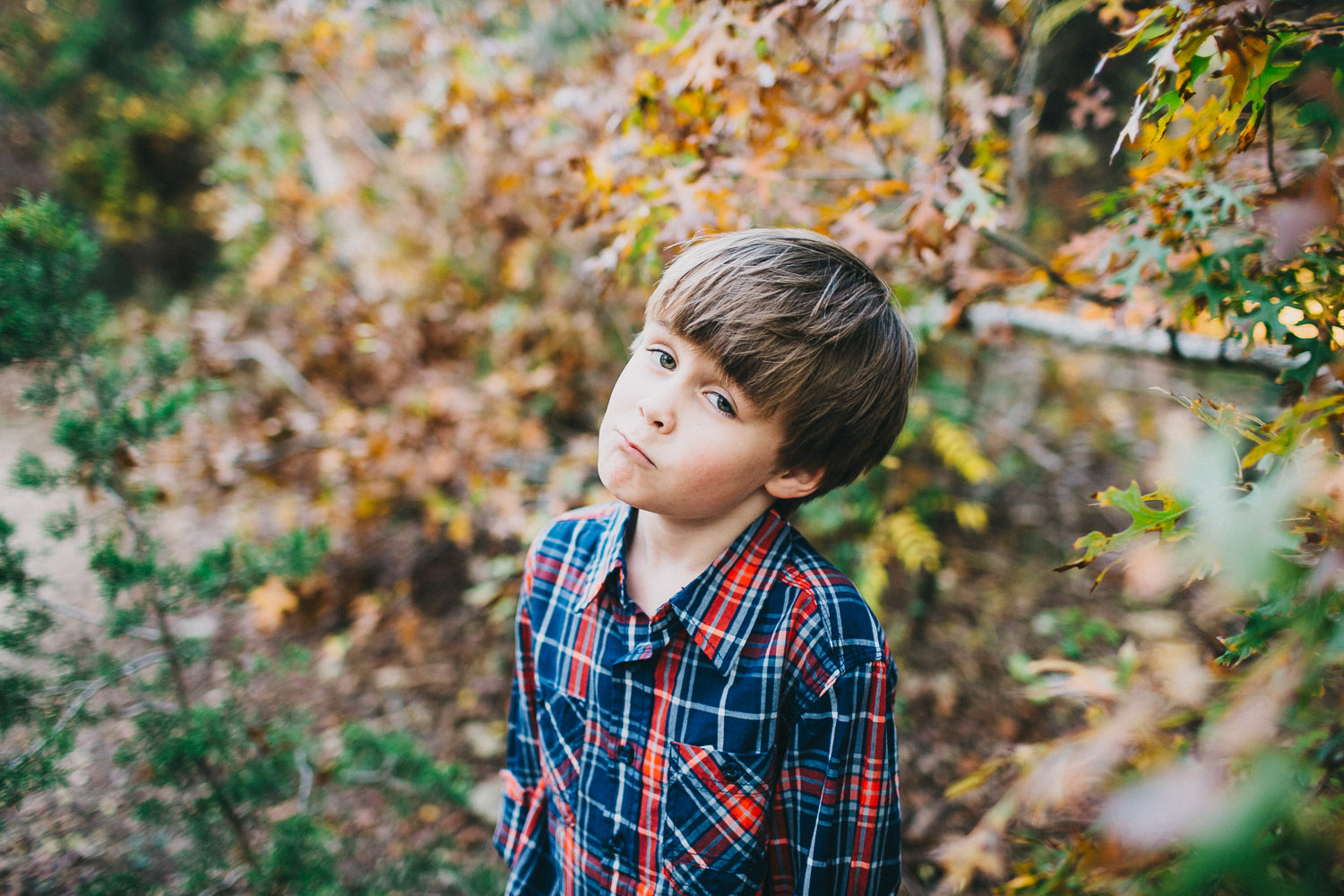Boy in Plaid Shirt | Austin Fall Family Portraits | Lisa Woods Photography